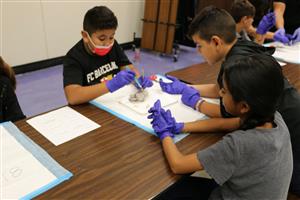 Students dissecting a cow's eye